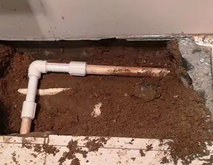 邗江测漏水哪家好