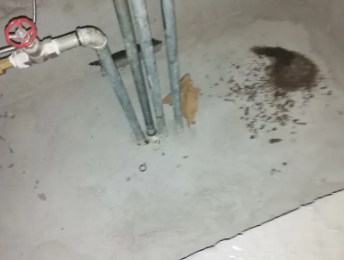 邗江卫生间测漏水价格明细