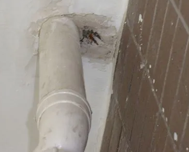 邗江漏水检测哪家好